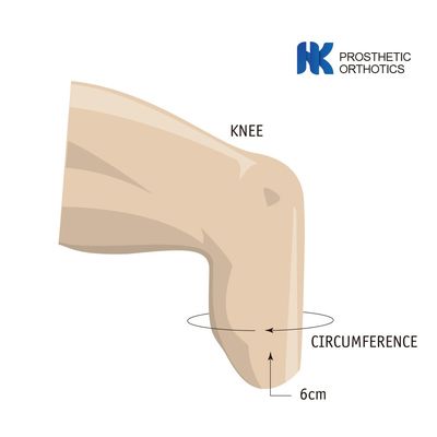 Cushion Suspension Proximal Seal Interface 53cm ALPS Liner