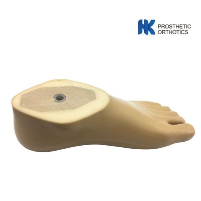 Fresh 14cm 220lbs Polyurethane SACH Prosthetics Foot