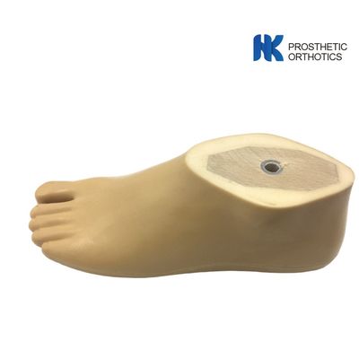 Fresh 14cm 220lbs Polyurethane SACH Prosthetics Foot