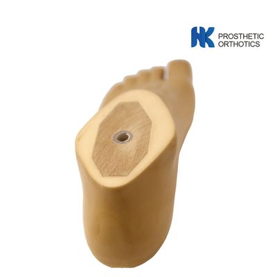 Fresh 14cm 220lbs Polyurethane SACH Prosthetics Foot