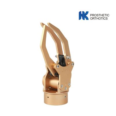 Five Fingers 6 Types Myoelectric Prosthetic Hand