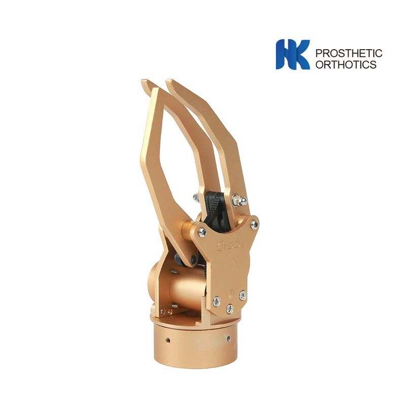 Five Fingers 6 Types Myoelectric Prosthetic Hand